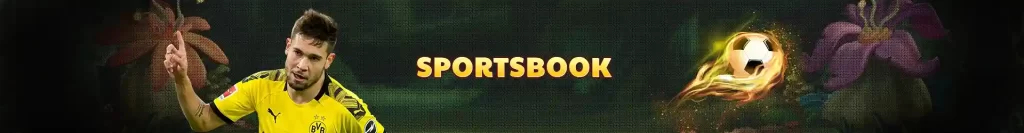 phplus Sports